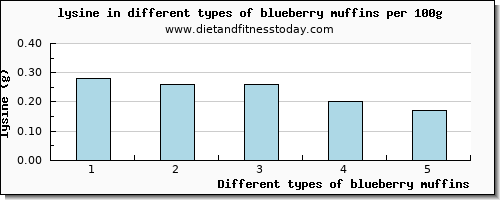 blueberry muffins lysine per 100g